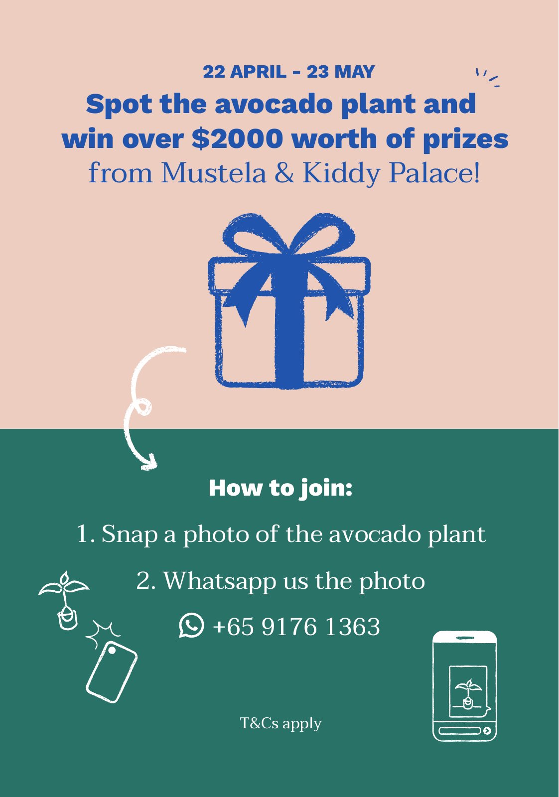 Avocado Hunt activation post: spot the avocado plant, snap a photo, WhatsApp it